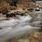 Tripic, Restaurant And Pizzeria 3*