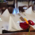 Hotel Tripic, Restaurant And Pizzeria 3*