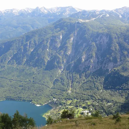 酒店 Tripic, Restaurant And Pizzeria 博希尼