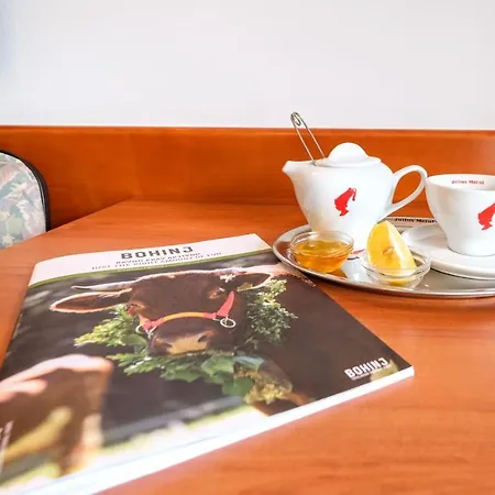 Tripic, Restaurant And Pizzeria ホテル ボーヒニ
