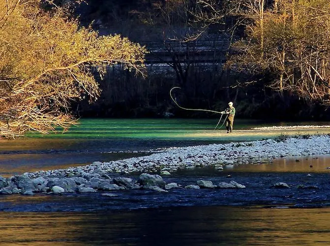 Tripic, Restaurant And Pizzeria 보히니