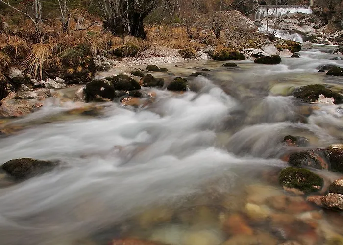 Tripic, Restaurant And Pizzeria 3*