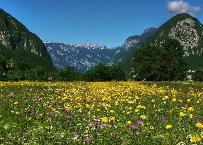 Tripic, Restaurant And Pizzeria