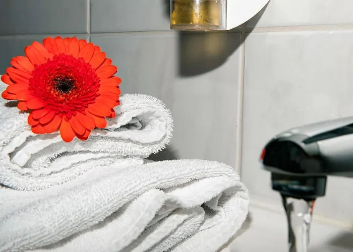 Tripic, Restaurant And Pizzeria Бохинь