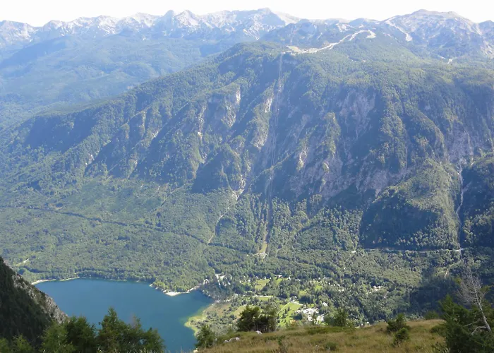 Отель Tripic, Restaurant And Pizzeria Бохинь