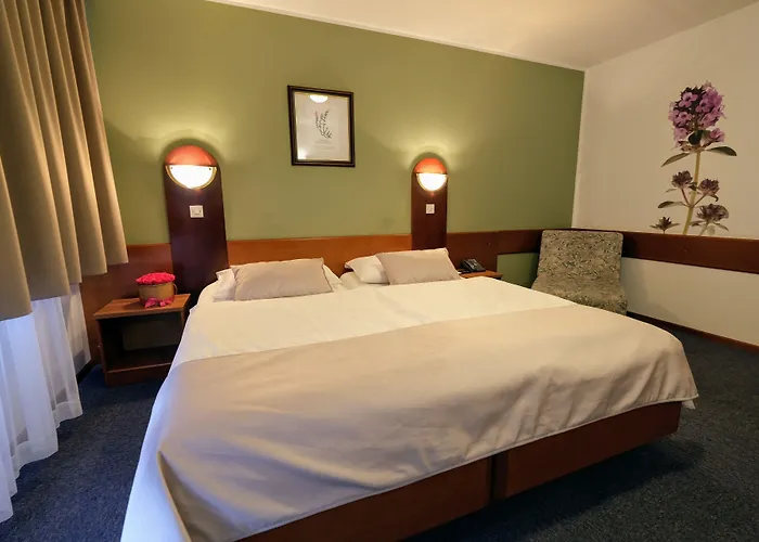 Отель Tripic, Restaurant And Pizzeria 3*