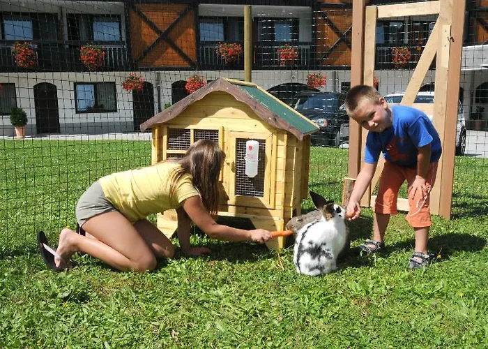 호텔 Tripic, Restaurant And Pizzeria 보히니