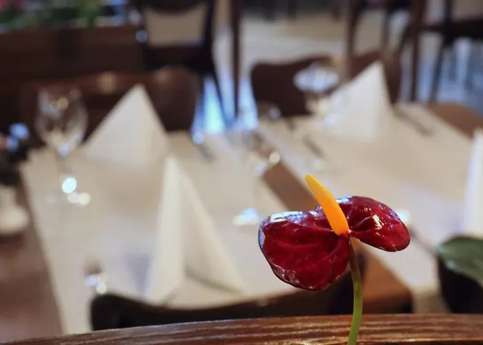 酒店 Tripic, Restaurant And Pizzeria 3*