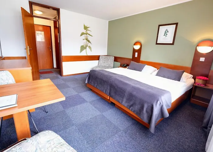 Tripic, Restaurant And Pizzeria Бохинь